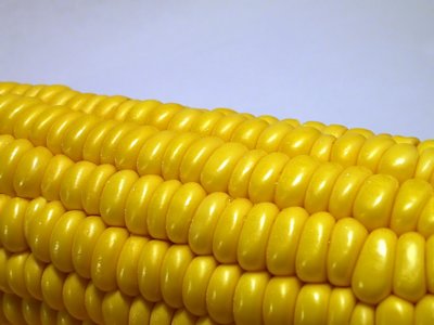 Corn