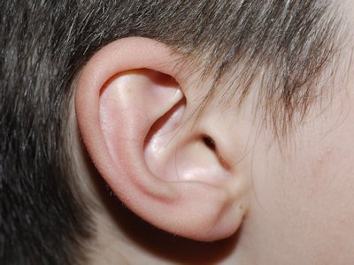 Ear