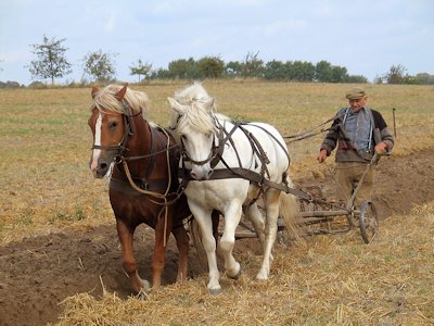 Farmer