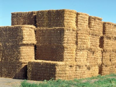 Hay