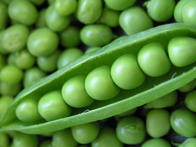 Pea