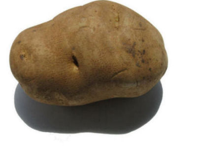 Potato