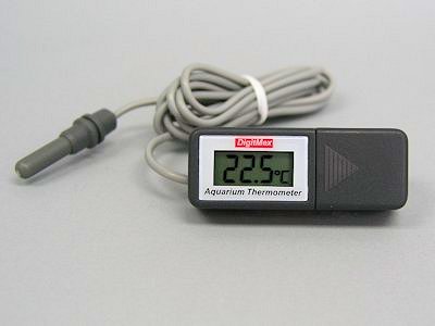 Thermometer