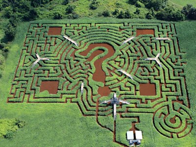 Maze