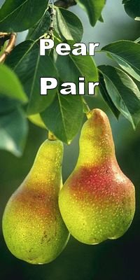 Pear