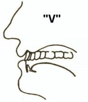 Mouth Position 
