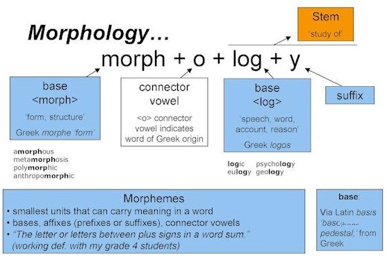 Morphology (linguistics)