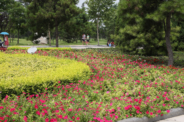 Botanical Gardens in Baoding China - 2008