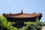Rooflines and Eaves in the Forbidden City  1