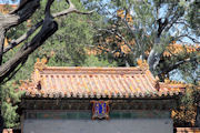 Rooflines and Eaves in the Forbidden City  4