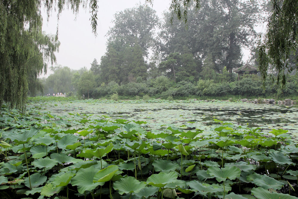 Lecture at Tsinghua University in Beijing, China