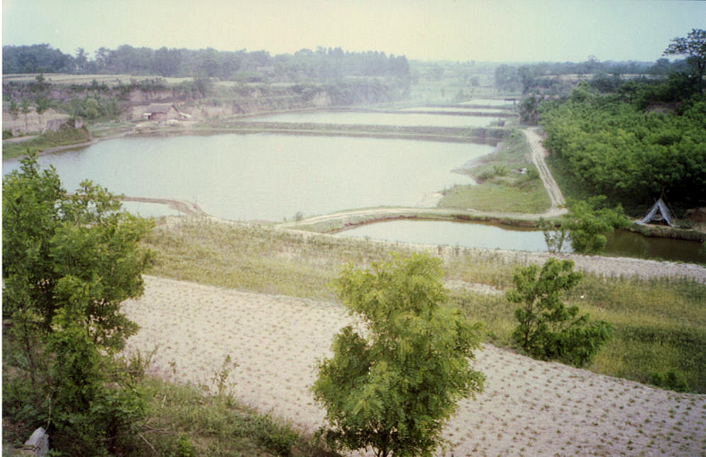 Chinese Aqua Farm