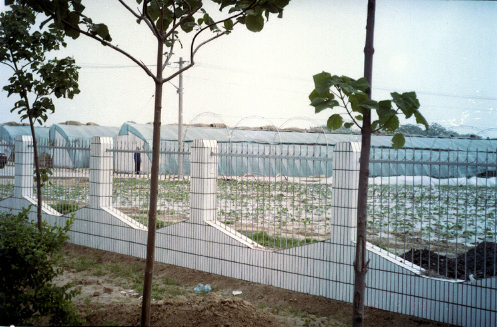 Chinese Greenhouses