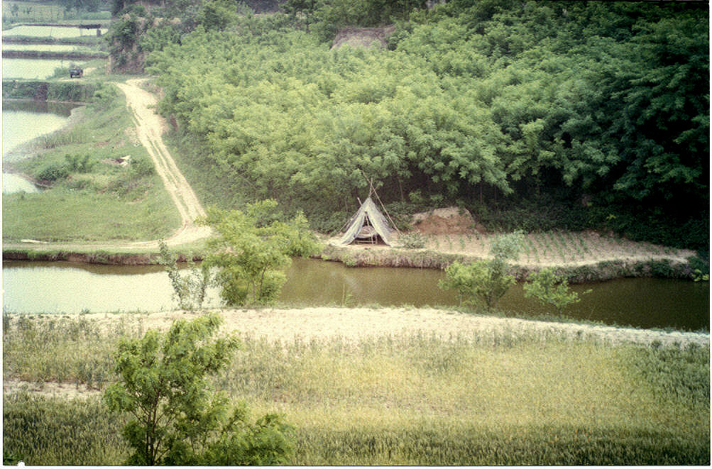 Chinese Crop Protection