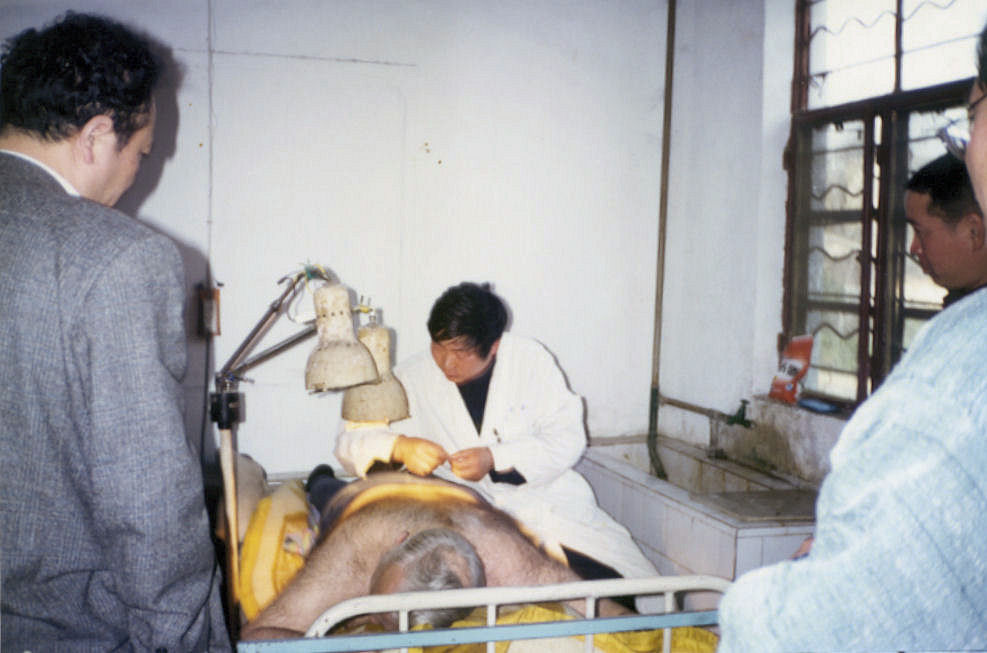 Traditional Chinese Doctor