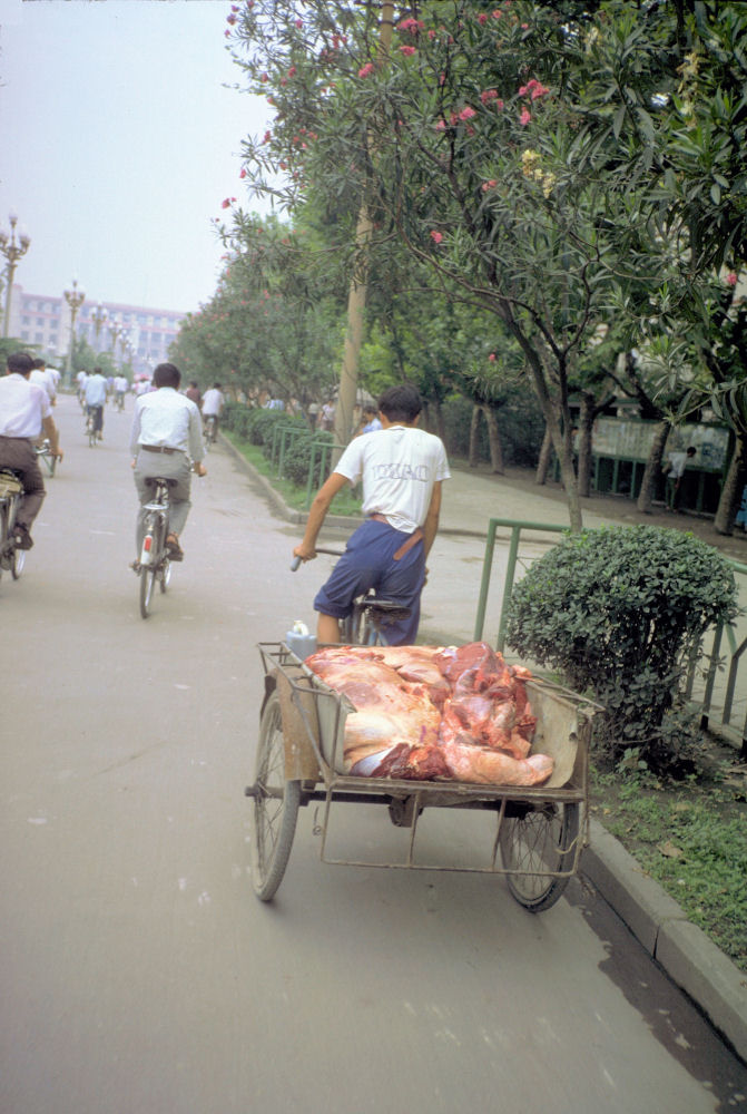 Chinese Delivery Service