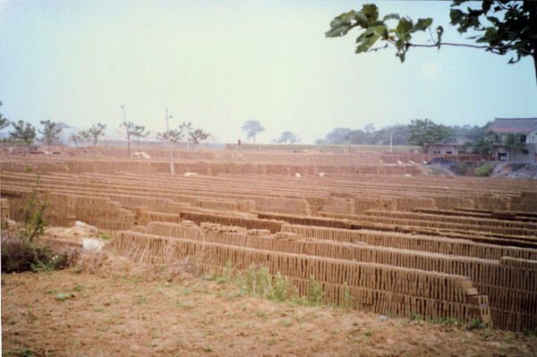 Bricks Drying in the Sun