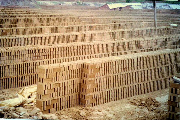 Sun Drying Bricks