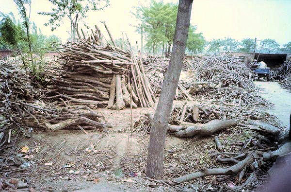 Scrap Wood for Particleboard factory