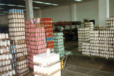 Silk Thread Factory