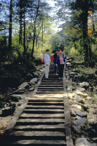 Bernice Climbs with Two Students