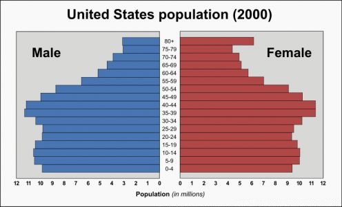 Graph Showing Age by Gender 2000 Census - USA