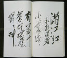 Mao Poetry Page