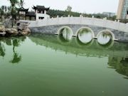 Sias New Magical Chinese Garden Photo 7
