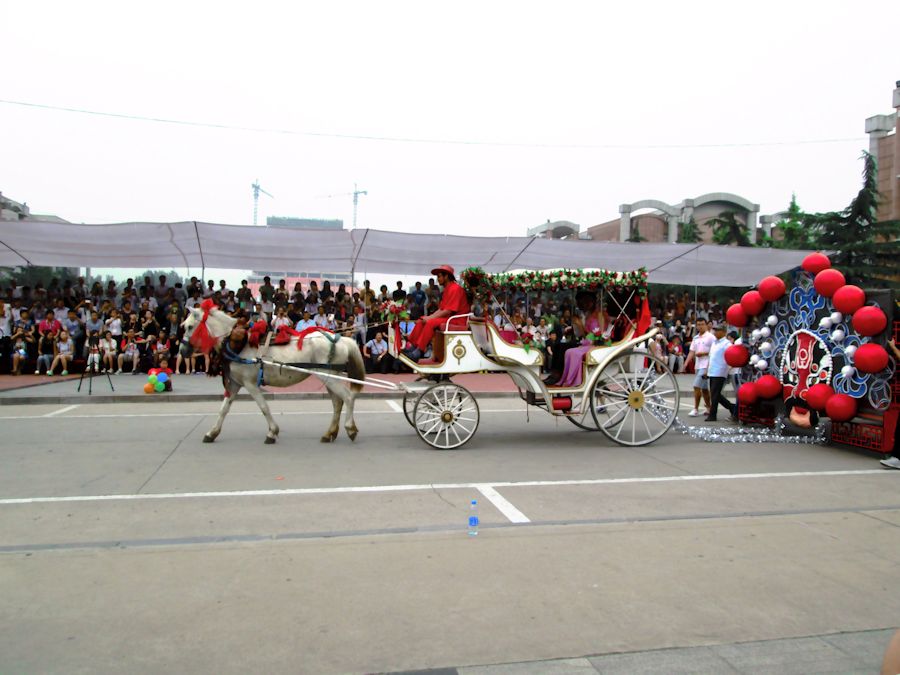 Royal Couple Arrive in a Carriage 