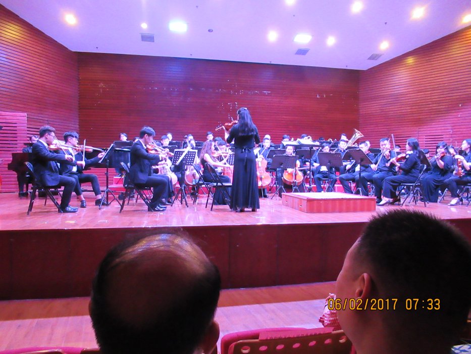Orchestra Violin Selection  