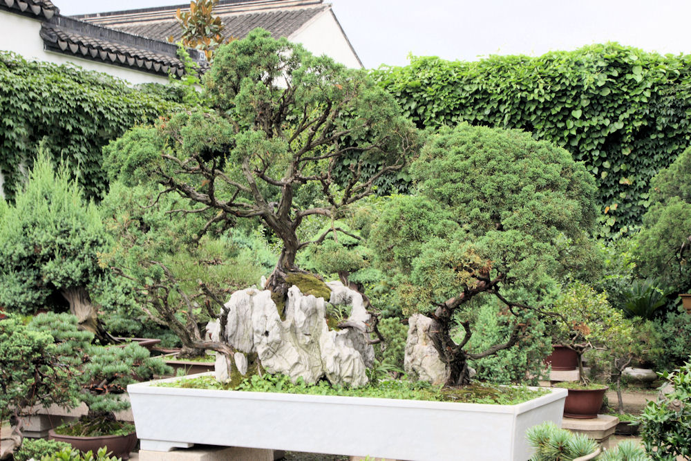 Humble Administrator's Garden in Suzhou China