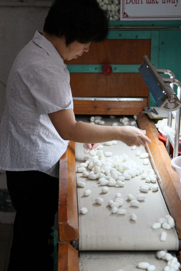 Silk Factory