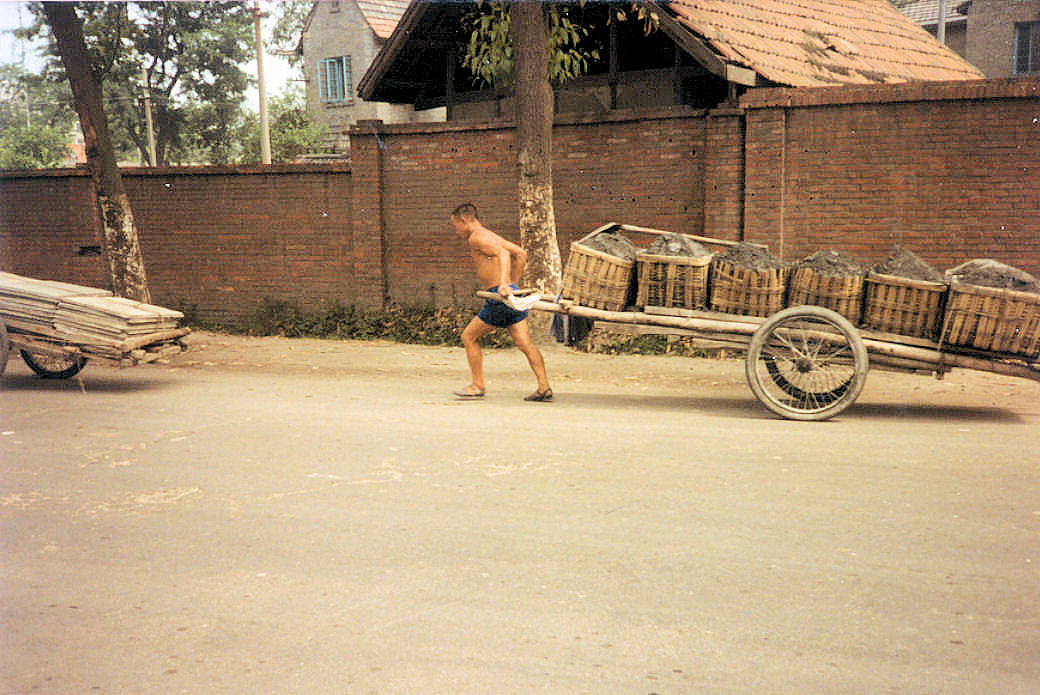 Debris Cart