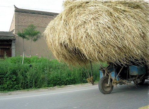 Chinese Load of Hay