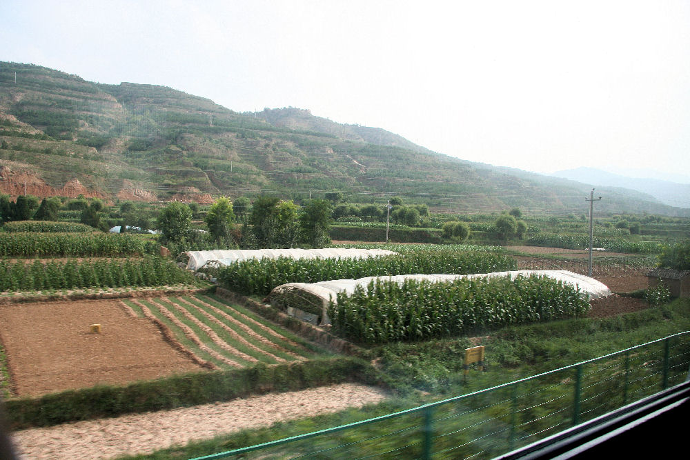 Travel Quest Special Train Xi'an to Xinjiang Eclipse 2008 