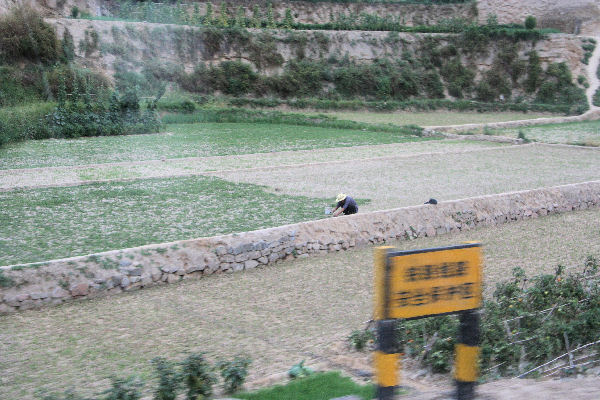 Travel Quest Special Train Xi'an to Xinjiang Eclipse 2008 