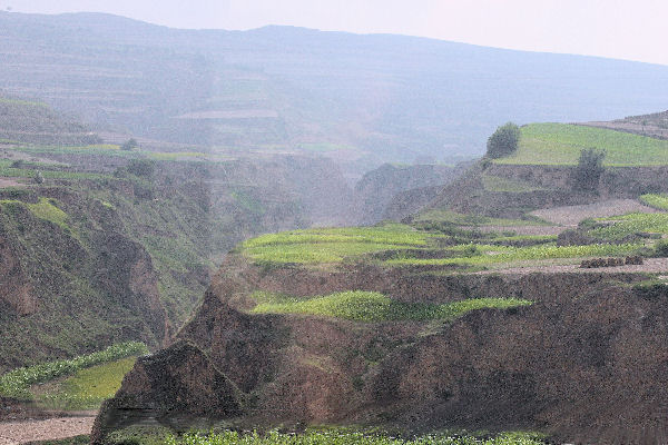 Travel Quest Special Train Xi'an to Xinjiang Eclipse 2008 