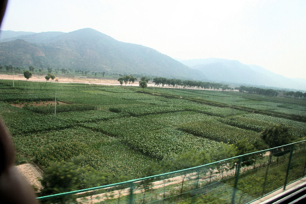 Travel Quest Special Train Xi'an to Xinjiang Eclipse 2008 