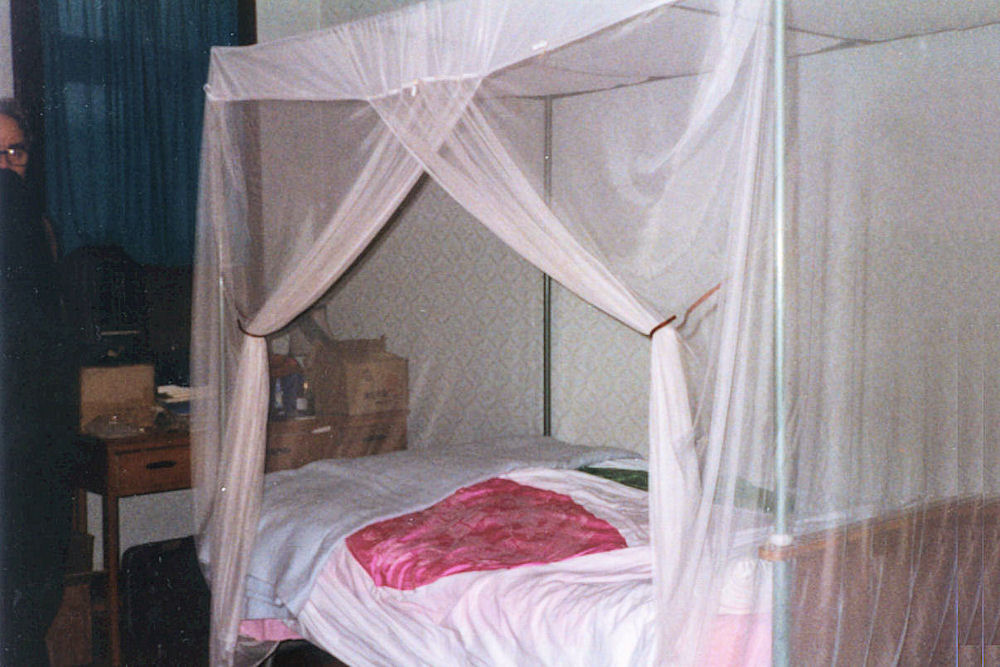 Mosquito Net