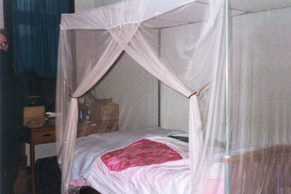 Mosquito Net 