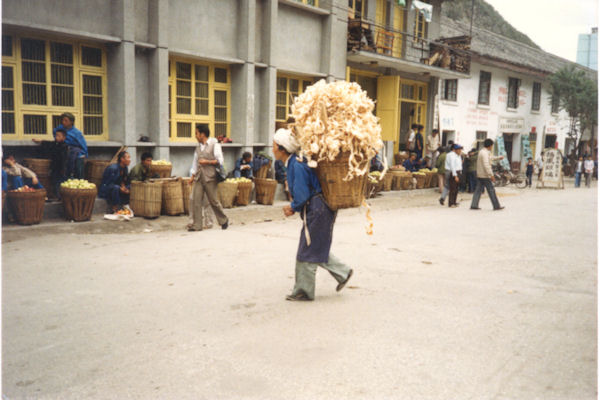 Chinese Lady with a load of Wood Shavings