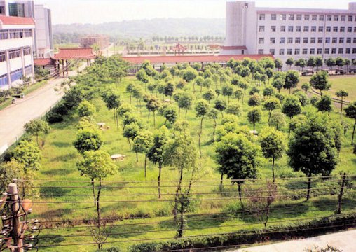 Wuhan Guanghua Private School