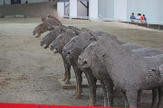 Terracotta Underground Army in Xi'an 31