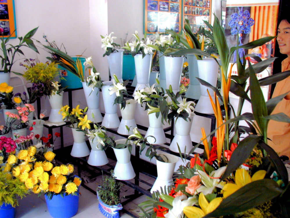 Flower Shop, Zhengzhou, China