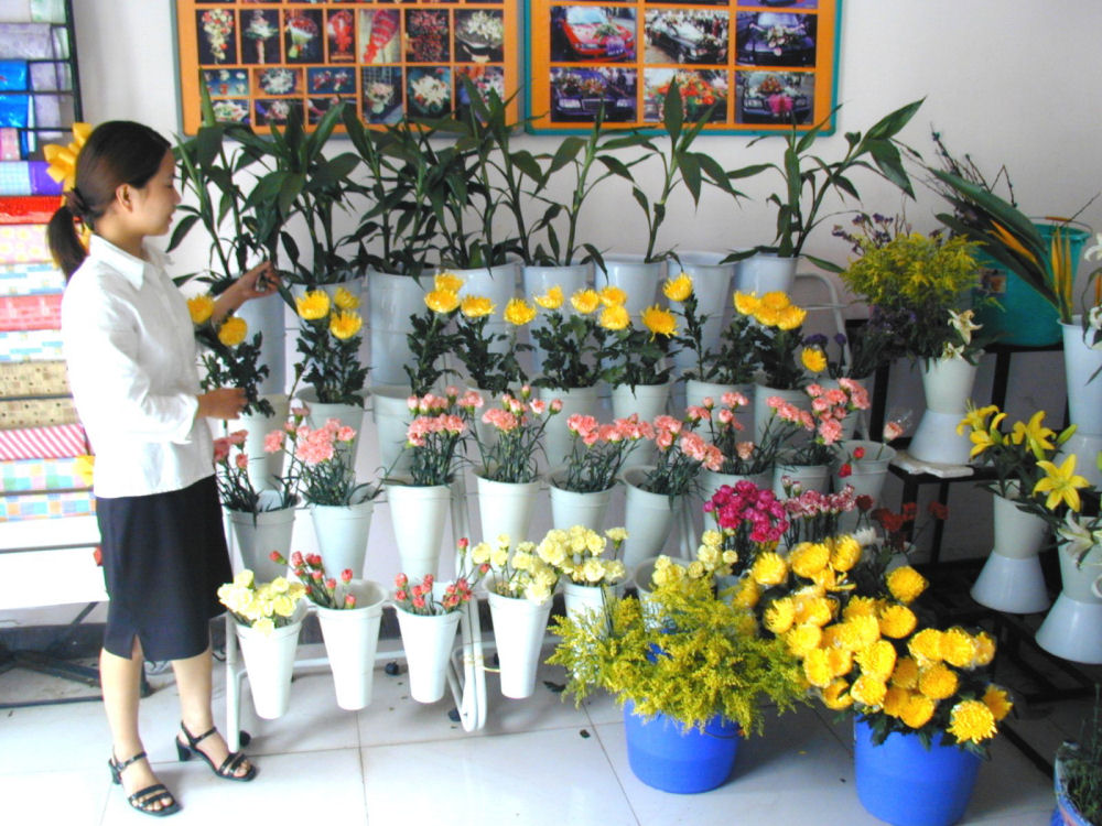 Flower Shop, Zhengzhou, China