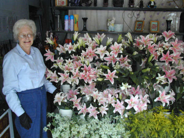 Beautiful Lilies