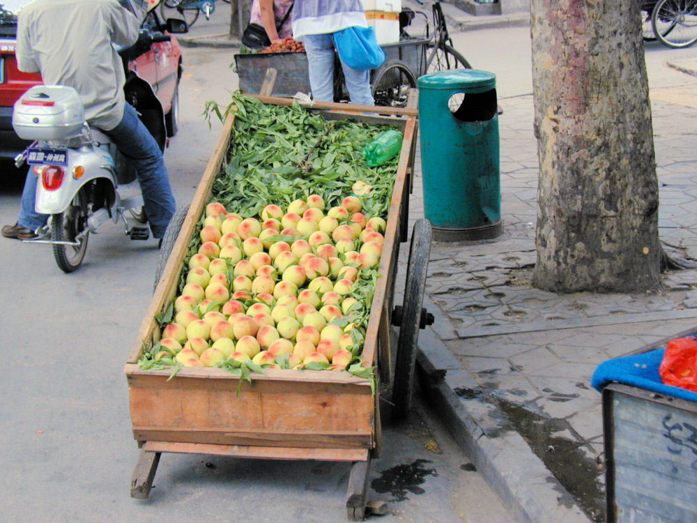 Fruit Sellers, Zhengzhou, Henan, China