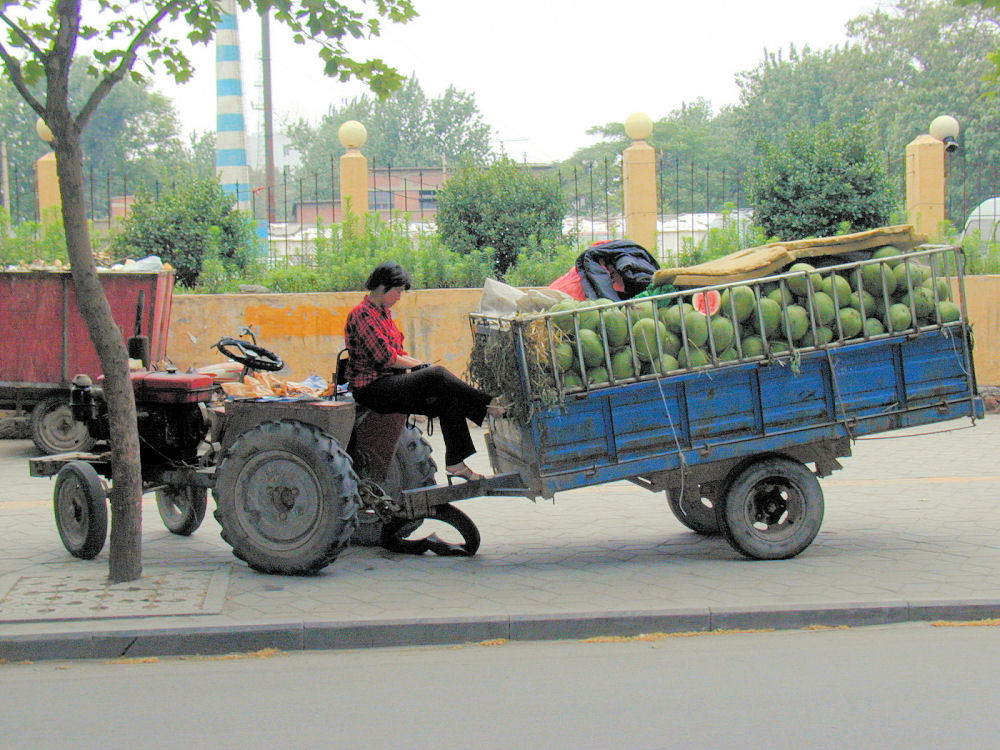 Fruit Sellers, Zhengzhou, Henan, China