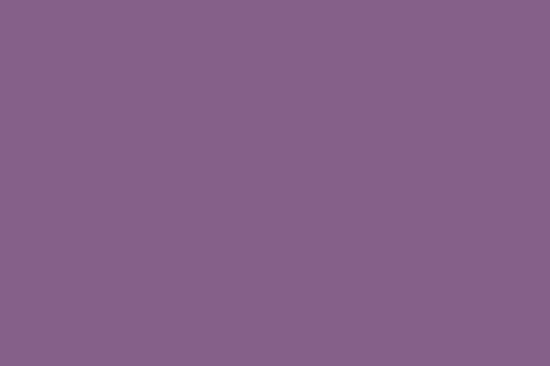 Chinese Violet Color 