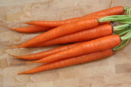 Deep Carrot Orange Color 